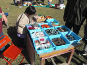 20091123syuukaku005.jpg