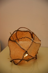 andonDSC_0250-2