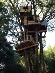 treehouse02