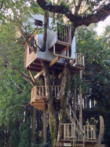 treehouse03